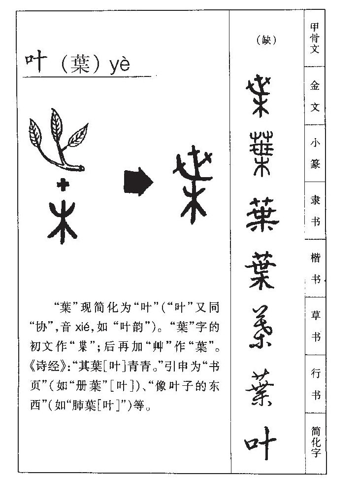 属牛起名字适合用的字_属狗的起名适合用哪些字_五行属金适合起名的字