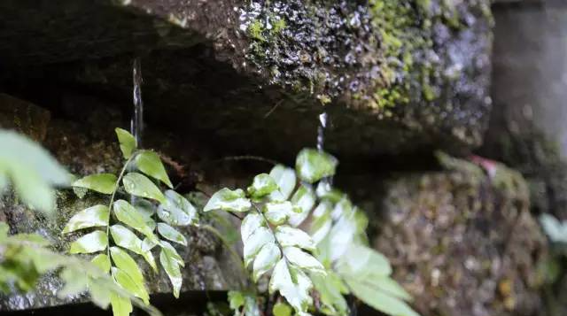 风水究竟是真是假？揭开这个神秘领域的真相！