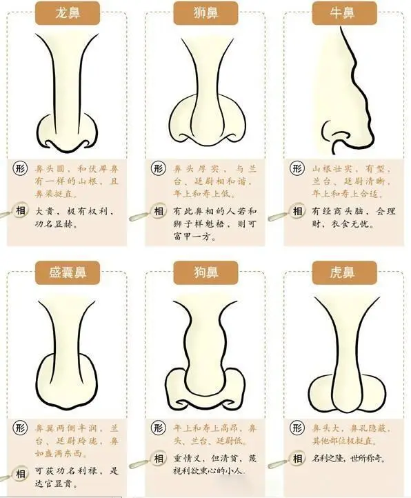 鼻子看相：五种富贵鼻男的解析，感兴趣