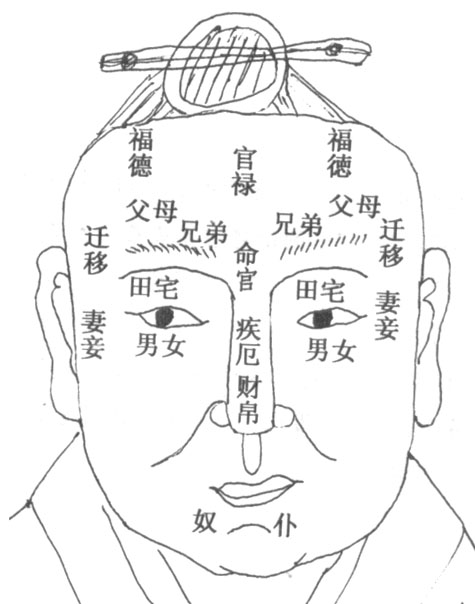 面相图解之十二宫位置图奴仆宫在颐颏，侍立成群