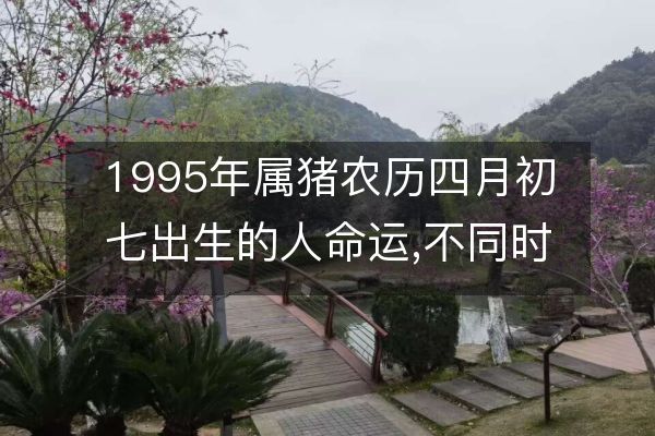 1995 年属猪农历四月初七出生人的八字五行、命运分析