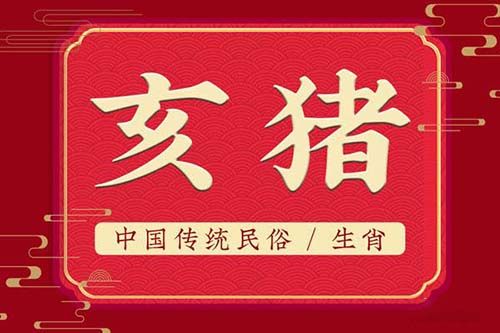 1995 年属猪农历四月初七出生人的八字五行、命运分析