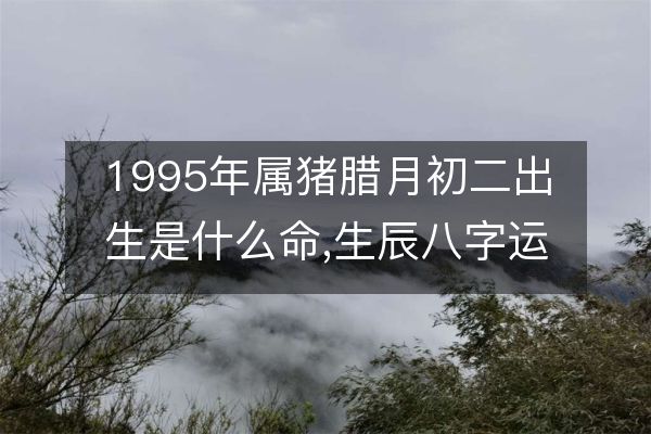 1995年属猪腊月初二出生是什么命,生辰八字运势查询